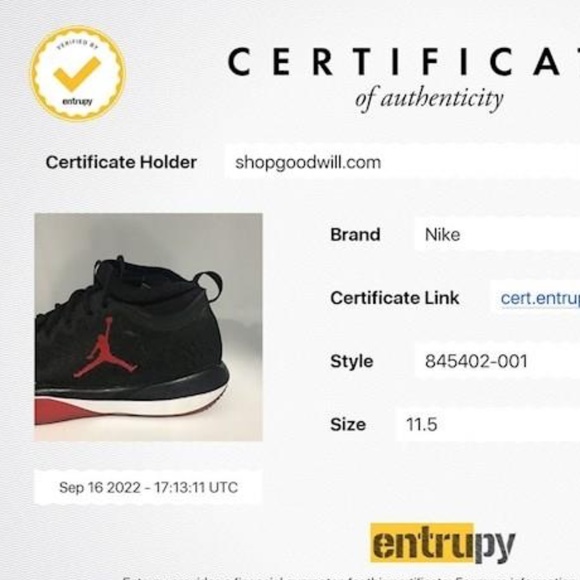 Nike Air Jordan Trainer 1 Shoes Mens Size 11.5 main image 4